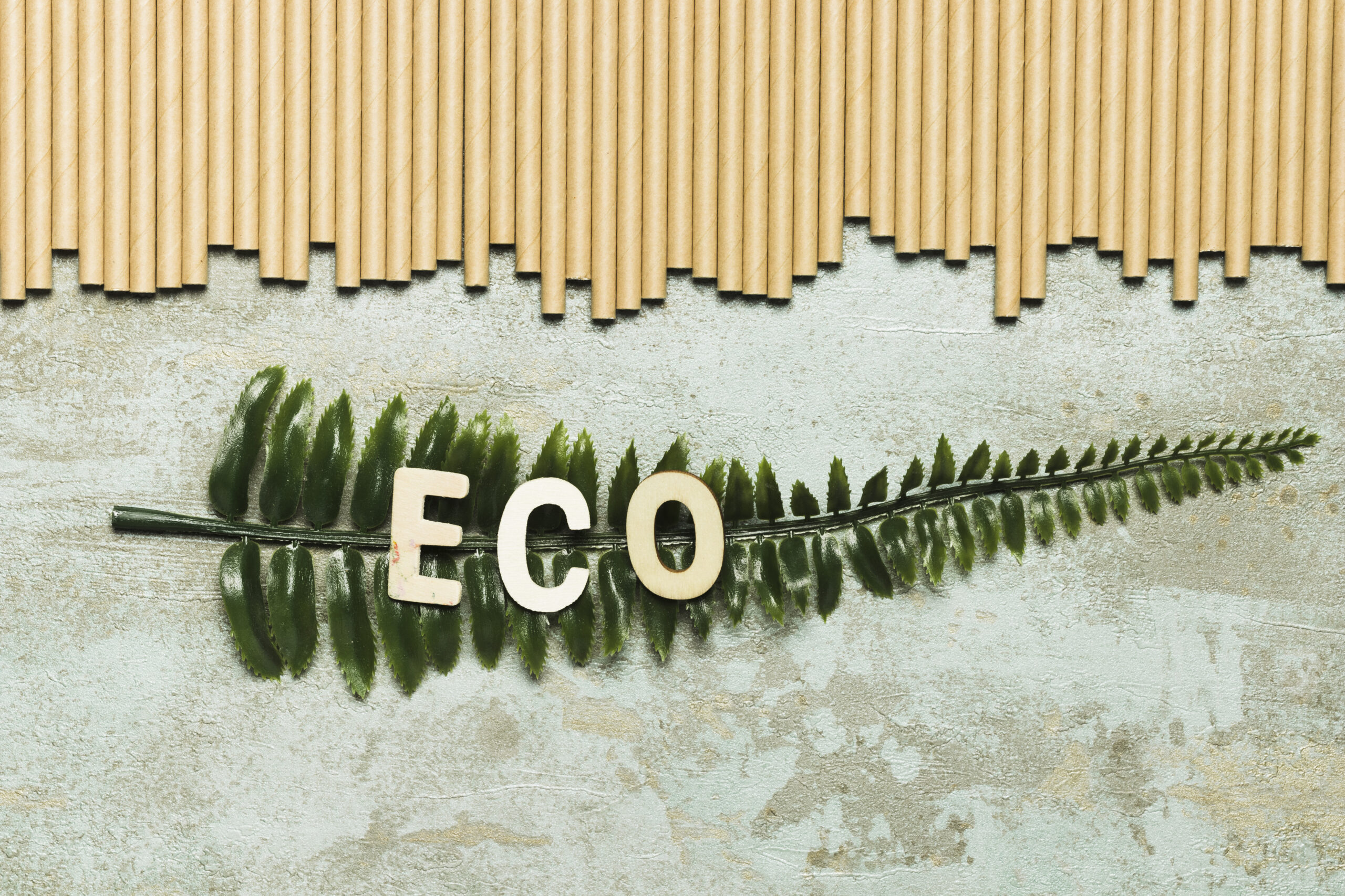 eco-socio-conception